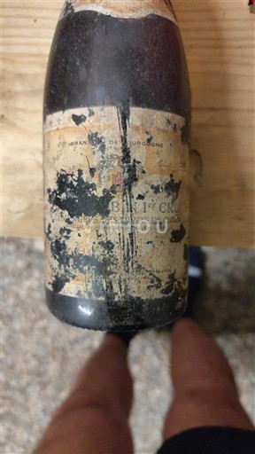 Burgundi Saint-Aubin Premier Cru Clos De La Vigne 1999