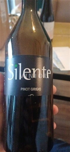 Valea Aostei Pinot Gri Silente 2024