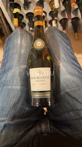Burgundy Bourgogne Aligoté UVCD 2023