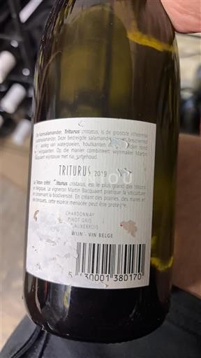 Valonia Wallonia Vignoble Martin Bouquillon Triturus 2019