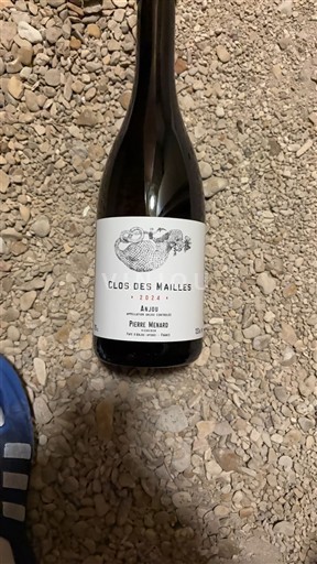 Loiredalen Anjou Pierre Ménard Clos des Mailles 2024