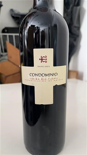Castilia și León Ribera del Duero Condominio 2023