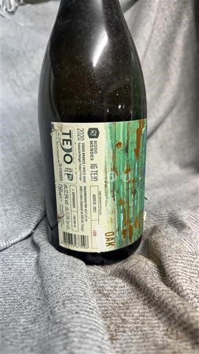 Tejo Técnico António Tejo NP 2020