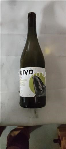 Douro Folias de Baco Moscatel galego branco 2022