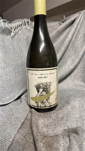 Douro Portugal Boutique Winery Guyot 2020