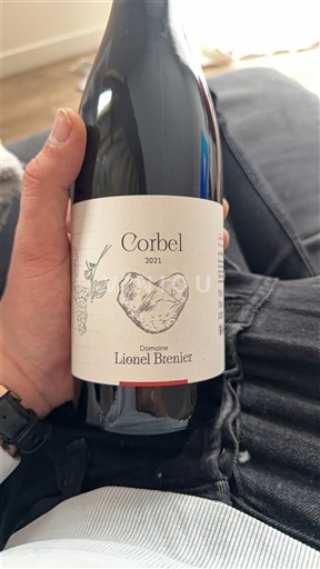 Jura Côtes-du-jura Domaine Lionel Brenier Corbel 2021