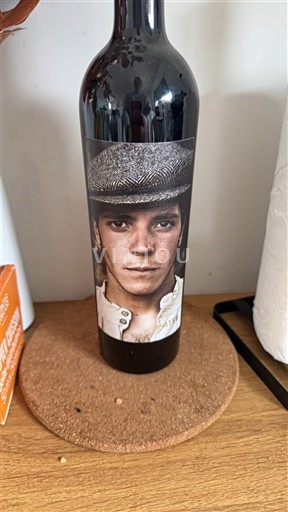 Languedoc și Roussillon Vin de Pays d'Oc Le Vilain Garçon Nemilésimat