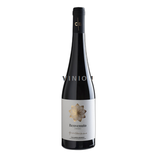 Calabria Cantine Benvenuto Zibibbo 2024