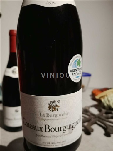 Vini Rouge sec La Burgondie 2024 Francia Borgogna Coteaux borgognoni AOC
