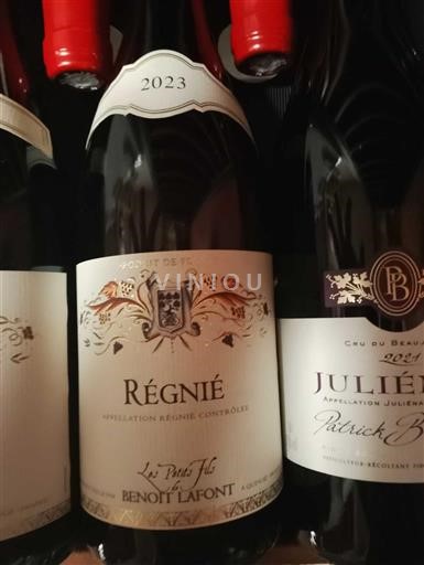 Beaujolais Régnié Benoit Lafont Les Pats Filo 2023
