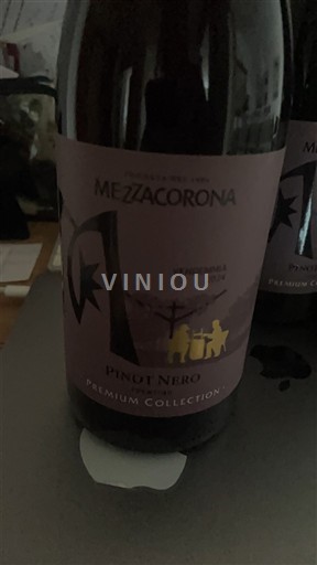 Emilia-Romagna Reggiano Mezzacorona Premium Collection 2024