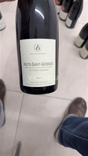 Burgundy Nuits-Saint-Georges Domaine Clara Bisoffi Le Coteau des Bois 2015
