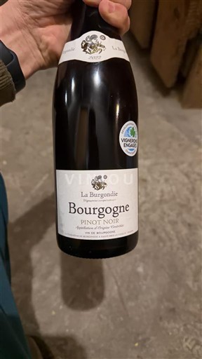 Vini Rouge sec Pinot Noir La Burgondie Non millésimé Francia Borgogna AOC