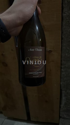 Valle del Loira Touraine Château Quincay Ante Vinum 2019