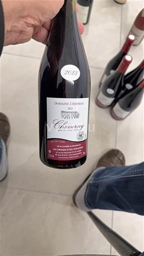 Valea Loarei Cheverny Domaine Chesneau 2023
