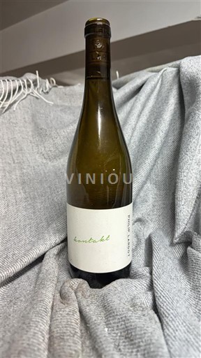 Languedoc și Roussillon Cote catalane Domaine L'Horizon Hinterland 2022