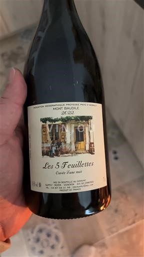 Languedoc Nespecificat Mont Baudile Les 5 Feuillettes d'une nuit 2022