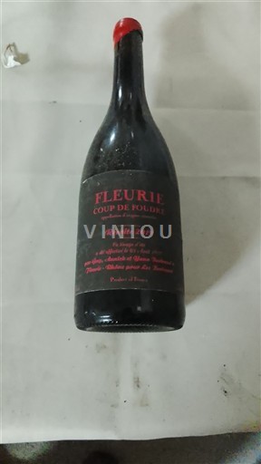 Beaujolais Fleurie Coup de Foudre 2019