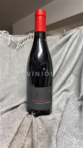 Beaujolais Morgon Domaine Thélis 2019