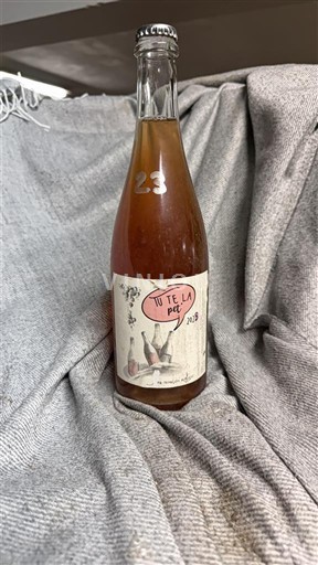 Valle del Loira No especificado Domaine La Petite Soeur Ti Te La Pet 2023