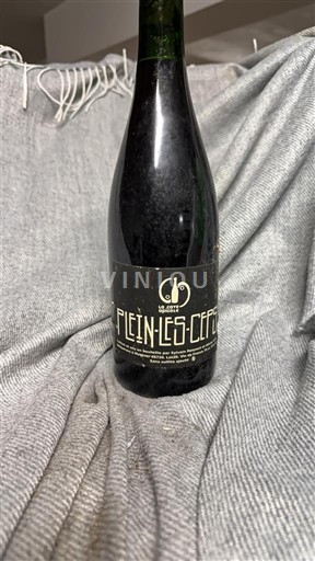 Beaujolais Domaine Côtes de la Molière Plein-les-Ceps 2020