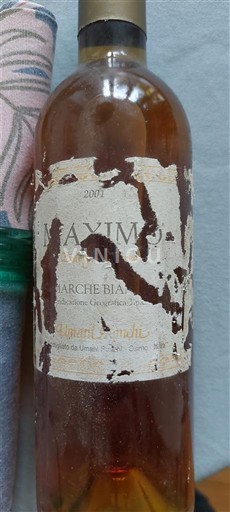 Marche Nespecificat Umani Ronchi Maximo 2001