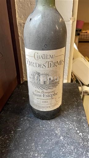 Burdeos Saint-Estèphe Château Tour des Termes 1981