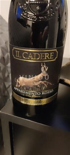 Marche Rosso Conero Il Cadere Appassimento Rosso 2021