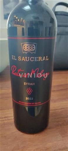 Castilia-La Mancha El Saucereal Puerta Milagro 2022