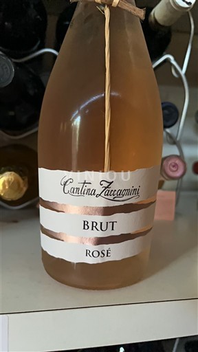 Abruzzo Cantina Zaccagnini Nemilésimat