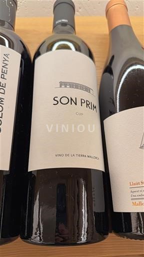 Insulele Baleare Nespecificat Son Prim Cup 2023