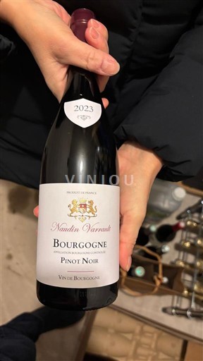 Bourgondië Bourgogne Nadin Varinot 2023