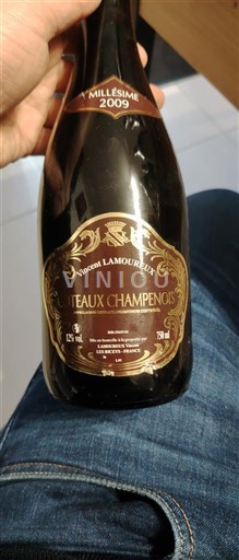 Champagne Coteaux-champenois Vincent Lamoureux 2009