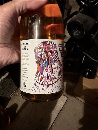 Valea Loarei Domaine Moulin des Fées Pétillant de Raisin Nemilésimat