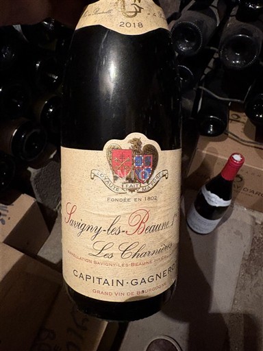 Burgundija Savigny-lès-beaune Capitain-Gagnerot La Chanière 2018