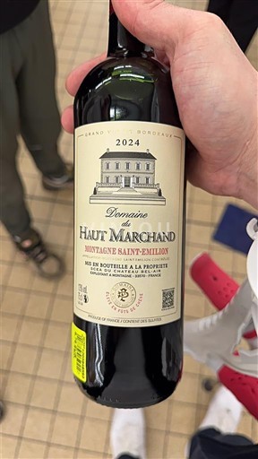 Вина Rouge sec Domaine Haut Marchand 2024 Франція Бордо Монтань-Сент-Емільйон AOC