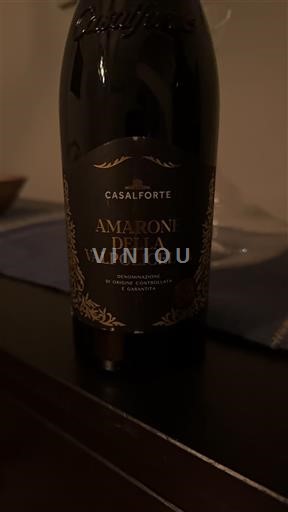 Venetia Amarone della Valpolicella Casalforte 2019
