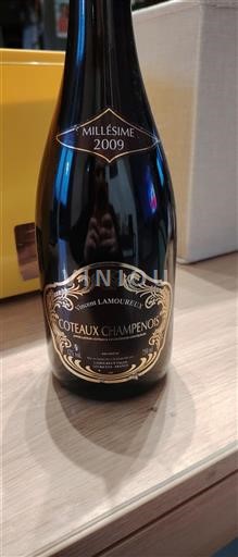 Champagne Coteaux-champenois Ve´rone Lamoureux 2009