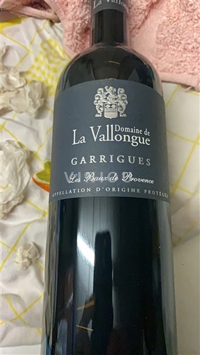 Provence Ikke specificeret Domaine La Vallongue Garrigues 2022