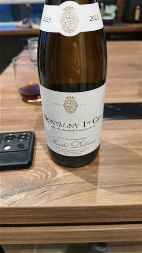 Burgundia Nespecificat Premier Cru André Delorme 2023