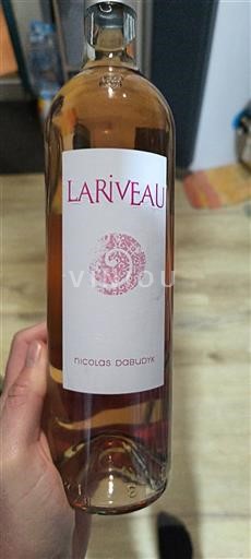 Bordeaux Canon-Fronsac Lariveau 2024