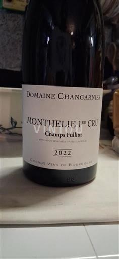 Burgundia Nespecificat Premier Cru Domaine Changarnier Champs Fulliot 2022