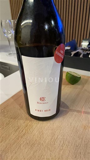 Vine Rouge sec Borgogno 2018 Frankrig Bourgogne AOC