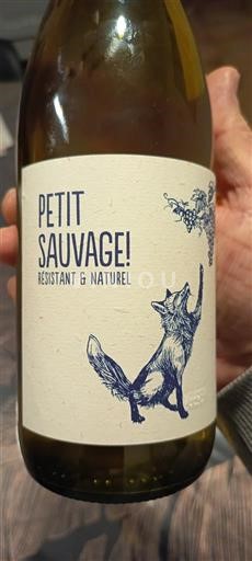 Valle del Loira No especificado Petit Sauvage! Sin añada