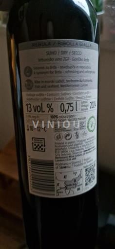 Brda Ribolla / Ribolla Gialla 2021