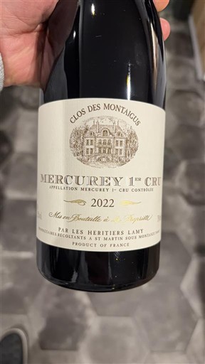Borgonha Não especificado Premier Cru Les Héritiers Lamy Clos des Montaigus 2022