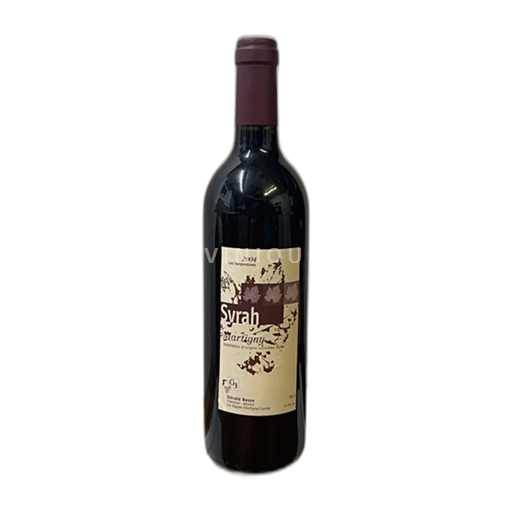 Valais Martigny Gérald Besse Les Serpentines 2004