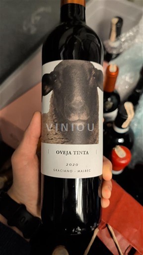 Castilia-La Mancha Nespecificat Oveja Tinta 2020