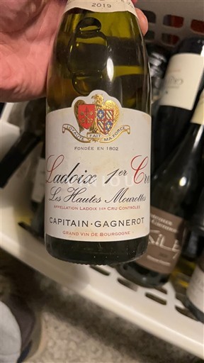 Burgundia Ladoix Premier Cru Capitain-Gagnerot Les Hautes Mourottes 2019