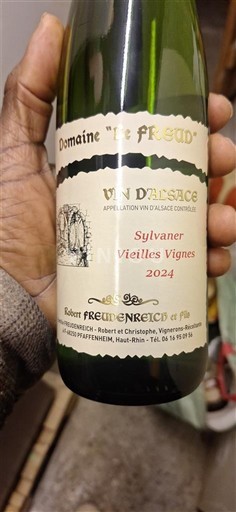 Alsacia Sylvaner Domaine Freudenreich Sylvaner Vieilles Vignes 2024